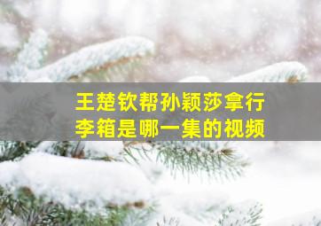 王楚钦帮孙颖莎拿行李箱是哪一集的视频