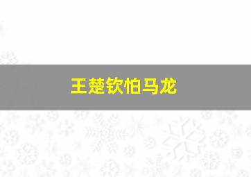 王楚钦怕马龙