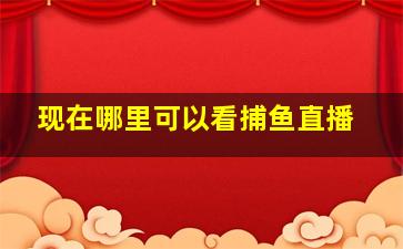 现在哪里可以看捕鱼直播