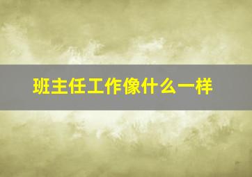 班主任工作像什么一样