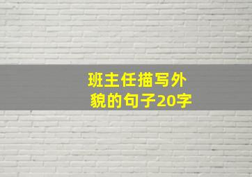 班主任描写外貌的句子20字