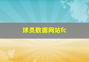 球员数据网站fc