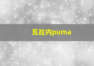 瓦拉内puma