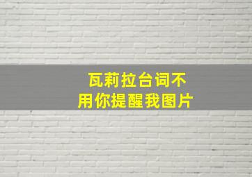 瓦莉拉台词不用你提醒我图片