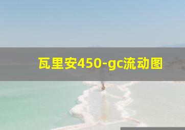 瓦里安450-gc流动图