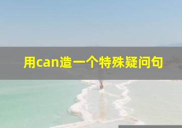 用can造一个特殊疑问句