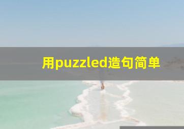 用puzzled造句简单