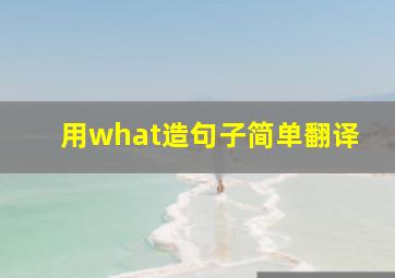 用what造句子简单翻译