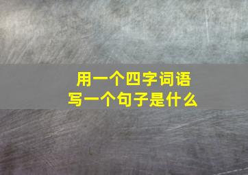 用一个四字词语写一个句子是什么