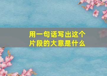 用一句话写出这个片段的大意是什么