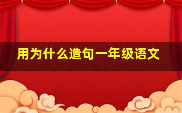 用为什么造句一年级语文