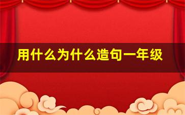 用什么为什么造句一年级