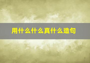 用什么什么真什么造句