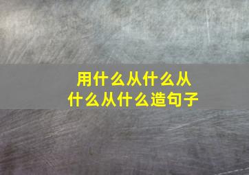 用什么从什么从什么从什么造句子