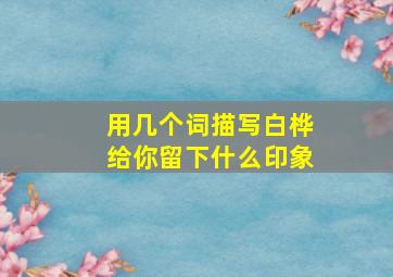 用几个词描写白桦给你留下什么印象