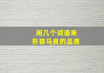 用几个词语来形容马良的品质