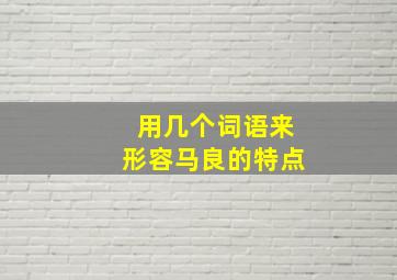 用几个词语来形容马良的特点