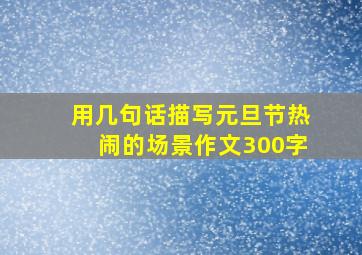 用几句话描写元旦节热闹的场景作文300字