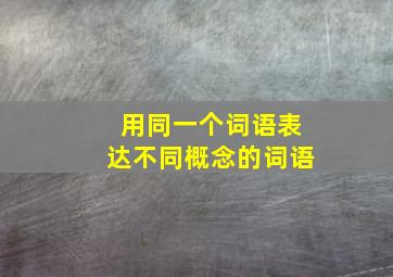 用同一个词语表达不同概念的词语