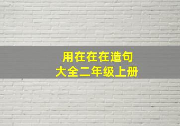 用在在在造句大全二年级上册