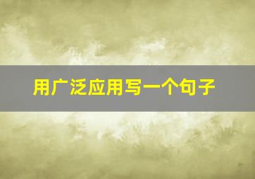 用广泛应用写一个句子