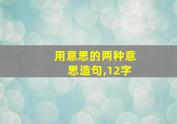 用意思的两种意思造句,12字