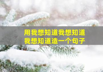 用我想知道我想知道我想知道造一个句子