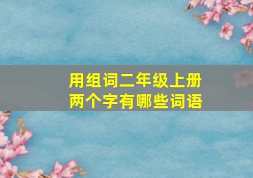 用组词二年级上册两个字有哪些词语