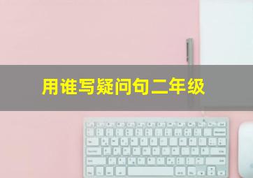 用谁写疑问句二年级