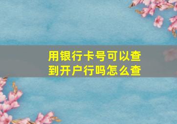 用银行卡号可以查到开户行吗怎么查