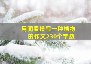 用闻看摸写一种植物的作文230个字数