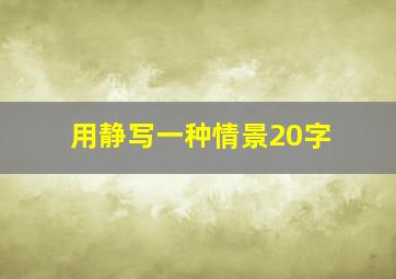 用静写一种情景20字