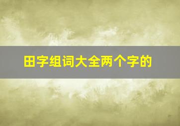 田字组词大全两个字的