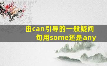 由can引导的一般疑问句用some还是any