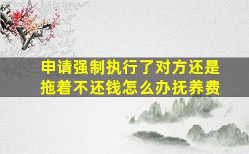 申请强制执行了对方还是拖着不还钱怎么办抚养费