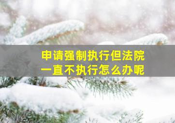 申请强制执行但法院一直不执行怎么办呢