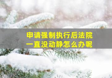 申请强制执行后法院一直没动静怎么办呢