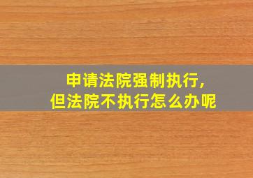 申请法院强制执行,但法院不执行怎么办呢