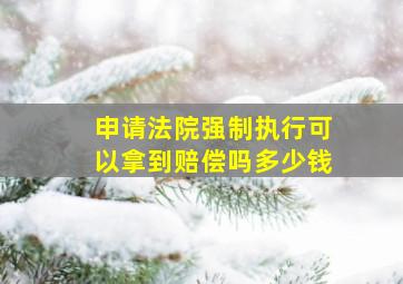 申请法院强制执行可以拿到赔偿吗多少钱