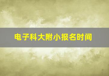 电子科大附小报名时间