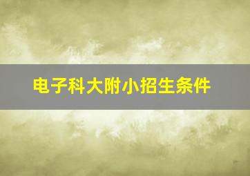 电子科大附小招生条件