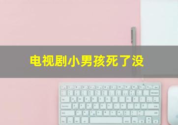 电视剧小男孩死了没