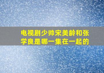 电视剧少帅宋美龄和张学良是哪一集在一起的