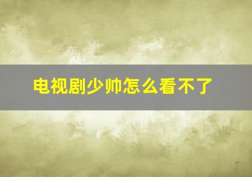 电视剧少帅怎么看不了