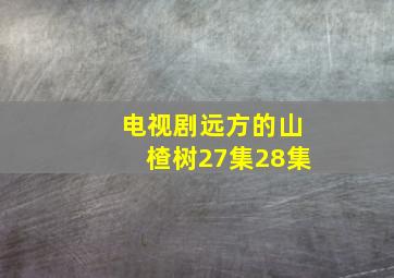 电视剧远方的山楂树27集28集