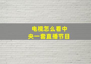 电视怎么看中央一套直播节目