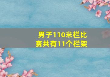 男子110米栏比赛共有11个栏架