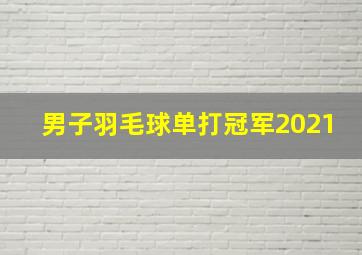 男子羽毛球单打冠军2021