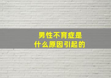 男性不育症是什么原因引起的