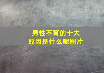 男性不育的十大原因是什么呢图片